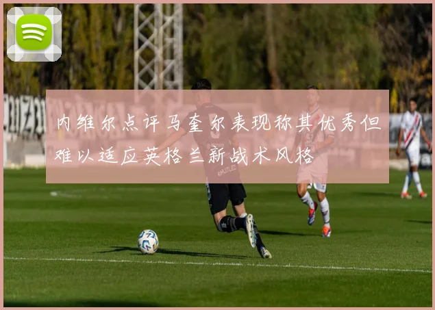内维尔点评马奎尔表现称其优秀但难以适应英格兰新战术风格