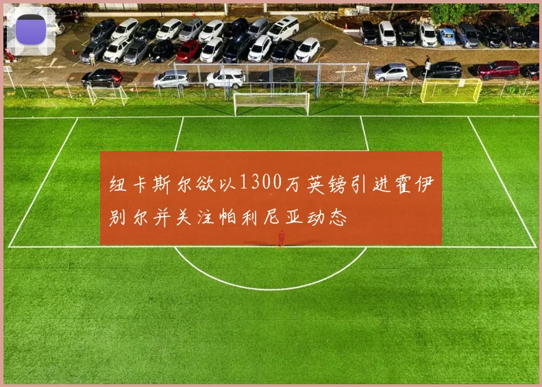 纽卡斯尔欲以1300万英镑引进霍伊别尔并关注帕利尼亚动态